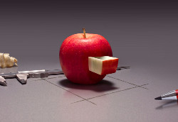 Der Jacobi-Apfel-Bewerbungstest